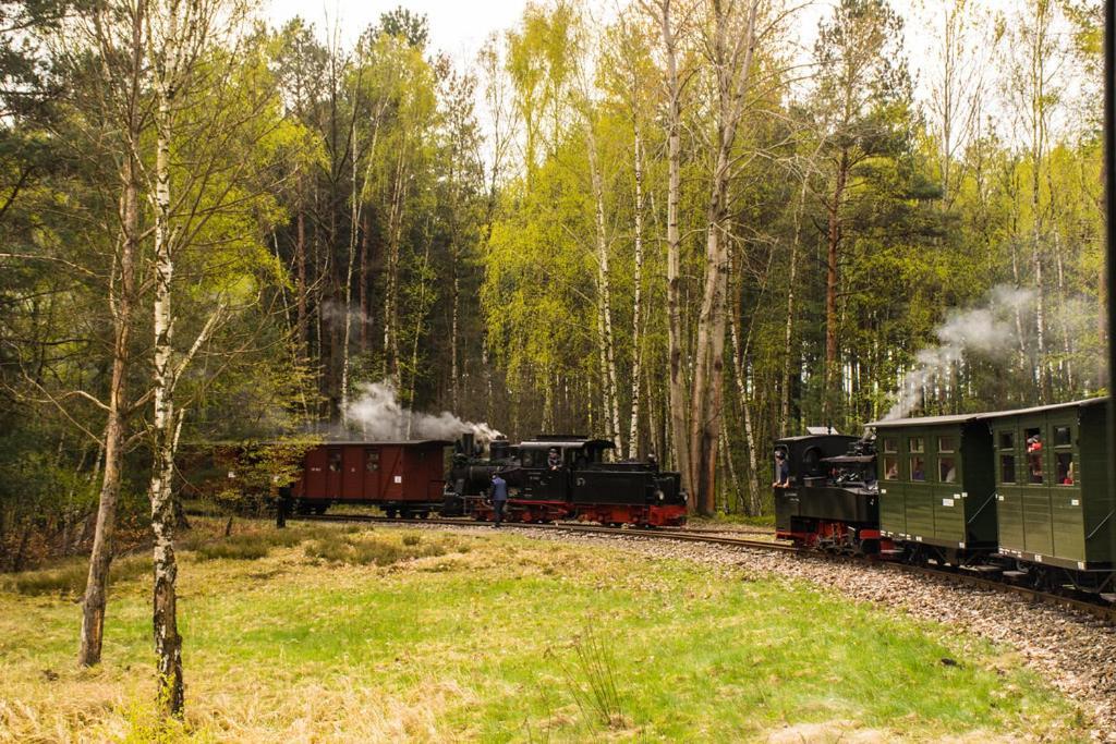 Ferienwohnung Im Gutshof Direkt Gegenueber Dem Schloss, Rhododendronpark Mit Terrasse Und Wlan Kromlau Zewnętrze zdjęcie
